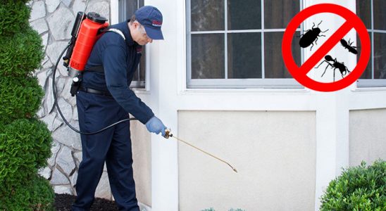 Altıevler Akrep İlaçlama böcek ilaçlama ve haşere kontrolü — ilaclama-tr.com